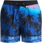 Artikelbild 1 des Artikels “EVERYDAY PRINTED 15 Boardshort 2026 monaco blue holmes L“