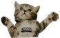 Artikelbild 1 des Artikels “FLYING CAT Stomppad 2027 “