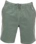 Artikelbild 1 des Artikels “CORVIN Walkshort 2026 mintgrey XXL“