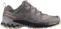 Product image 1 of the product “XA PRO 3D V9 GTX W Shoe 2026 plum kitten/black/gull 41 1/3”