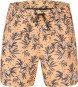 Artikelbild 1 des Artikels “PIAU 15 Boardshort 2023 palmtrees XXL“