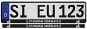 Product image 1 of the product “STANDING SIDEWAYS License Plate Holder ”