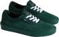 Product image 1 of the product “SKATE CURREN CAPLES Shoe 2026 emerald 38”