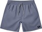 Artikelbild 1 des Artikels “RANGE RELAXED Walkshort 2026 glacial slate L“