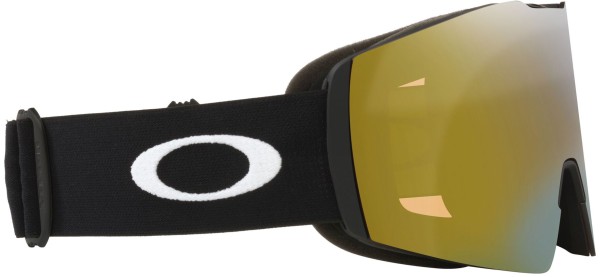 FALL LINE L Schneebrille 2025 matte black/prizm sage gold 