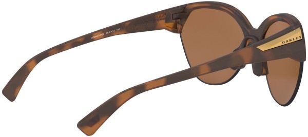 TRAILING POINT Sonnenbrille matte brown/prizm tungsten polarized 
