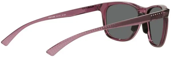 LEADLINE Sunglasses trans indigo/prizm black 