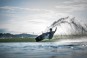 Product image 10 of the product “RAGE LOADED Wakeboard 2026 144”