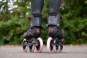 Product image 10 of the product “SWELL STELLAR ROAD 125 Inline Skate 2024 42”