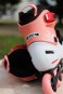 Product image 10 of the product “APEX Inline Skate 2026 platinum/coral 29-32”