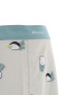 Artikelbild 10 des Artikels “PHANTOM-ECO CLASSIC 18 Boardshort 2024 bone 33“