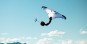 Artikelbild 10 des Artikels “STRIKE 6 CWC TEST Wing 2026 white 7,0“