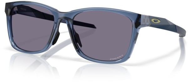 PARACORD Sonnenbrille transparent abyss/prizm grey 