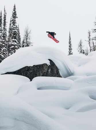 FT HOMETOWN HERO Snowboard 2026 family tree 