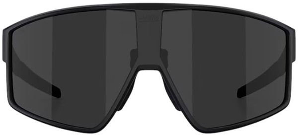 P002 Sonnenbrille 2025 matte black/smoke 