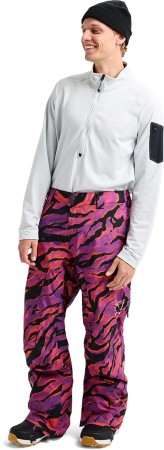 AK GORE TEX SWASH Pant 2026 slash multi 