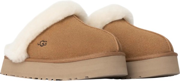 DISQUETTE Hausschuh 2026 chestnut 