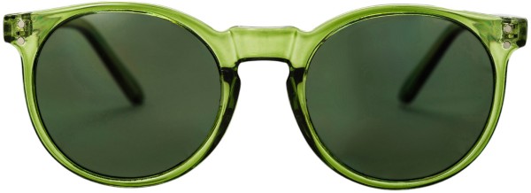 ANCHOR POINT Sonnenbrille forest green/green 