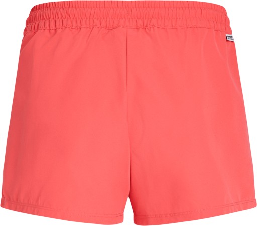 ESSENTIALS 12 Boardshort 2025 froly 