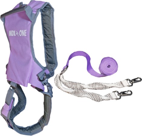 THE STATIC SNOW KIDS Sicherheitsleine 2026 lavender 