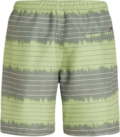 PRTAUCKLEY Boardshort 2023 algaegreen 