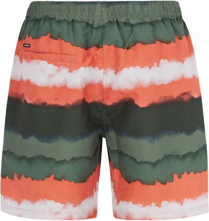 PRTHAMSEY Boardshort 2024 artichoke green 