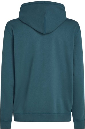 LOGO Hoodie 2025 alma steel 