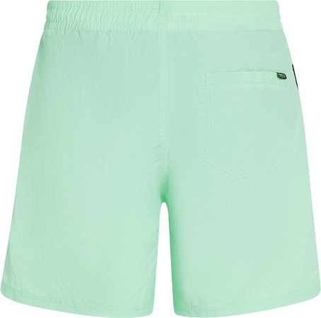 VERT 16 Boardshort 2025 mildrew mint 