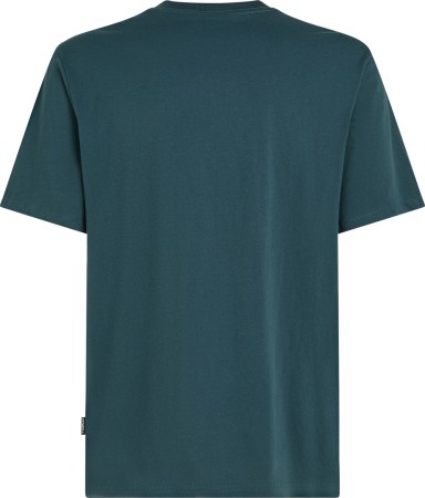 CHEST PRINT T-Shirt 2025 alma steel 