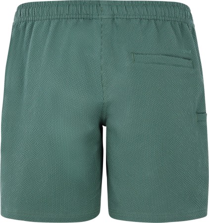 PRTAGAAT Boardshort 2025 veggie green 