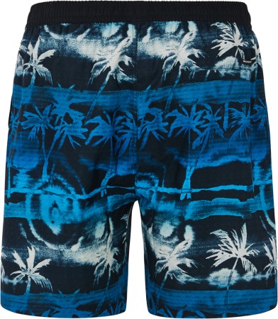PRTDELTON 19 Boardshort 2025 olympic blue 