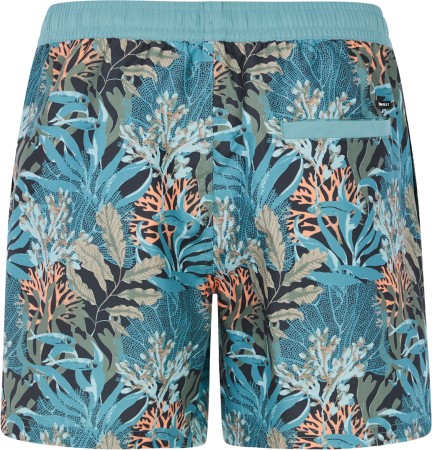 PRTETON 16 Boardshort 2025 arcticgreen 
