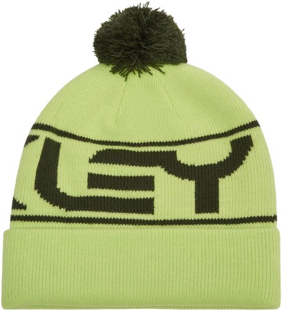 FACTORY CUFF Beanie 2025 light green 