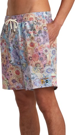 SAGE ELASTIC HEMP 17 Boardshort 2024 multi 
