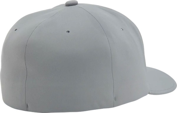 DELTA FLEXFIT Cap silver 