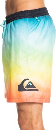 EVERYDAY FADED LOGO 17 Boardshort 2022 tarmac 