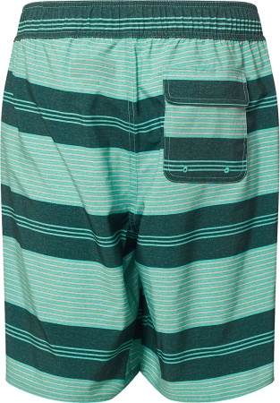 MARLIN RC 20 Boardshort 2023 hunter green stripes 