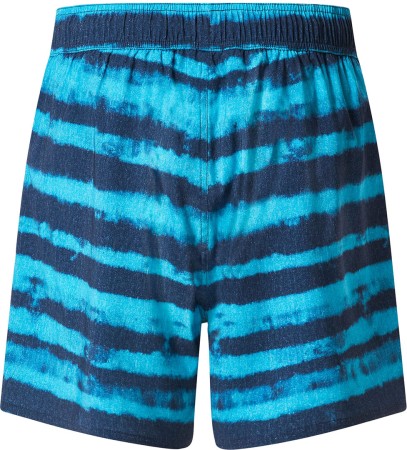 BLUR STRIPES RC BEACH 16 Boardshort 2024 blue 