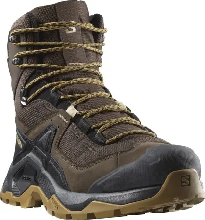 QUEST ELEMENT GTX Schuh 2026 delicioso/black/dull gold 