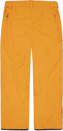PLAN Hose 2025 carrot 