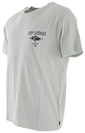 FADE OUT ICON T-Shirt 2024 light green 