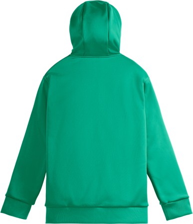 PARK TECH Zip Hoodie 2024 spectra green 
