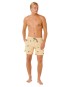 Artikelbild 2 des Artikels “SESSIONS VOLLEY 16 Boardshort 2026 straw L“