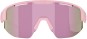 Product image 2 of the product “MATRIX SMALL Sunglasses 2026 matte powder pink/brown rose multicolor ”