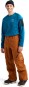 Product image 2 of the product “AK GORE TEX CYCLIC Pant 2026 chestnut brown M”