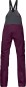 Product image 2 of the product “TAMOK GORE-TEX PERFORMANCE SHELL BIB WOMEN Pant 2026 winter bloom M”