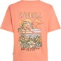 Artikelbild 2 des Artikels “BOXY BACK PRINT T-Shirt 2026 funky peach S“