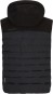 Product image 2 of the product “TILICHO Vest 2024 black 48”