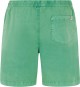 Product image 2 of the product “PRTNIVEL Walkshort 2025 cactus green ”