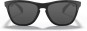 Product image 2 of the product “FROGSKINS Sunglasses polished black/grey ”
